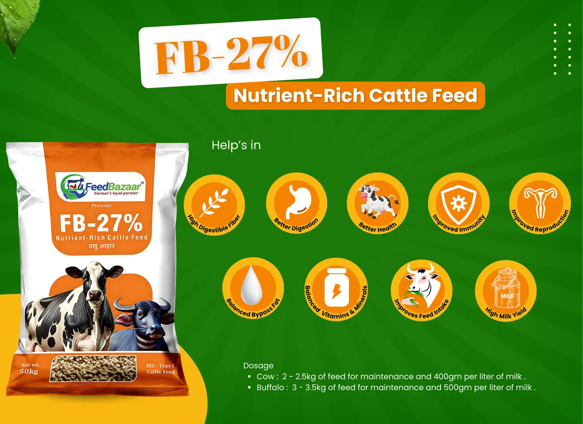 FB-27% Cattle Feed Circular Advantages Guide